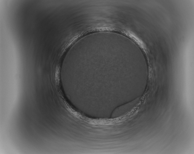 X0000116850009200912221128