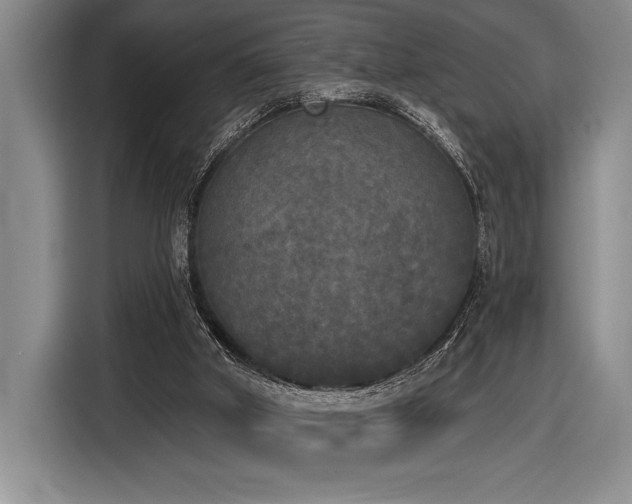 X0000116850010200912221128