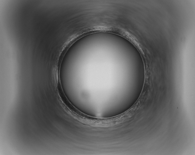 X0000116850011200912221128