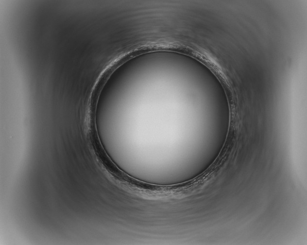 X0000116850012200912221128