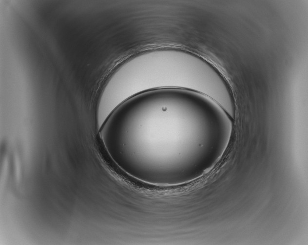 X0000116850013200912221128