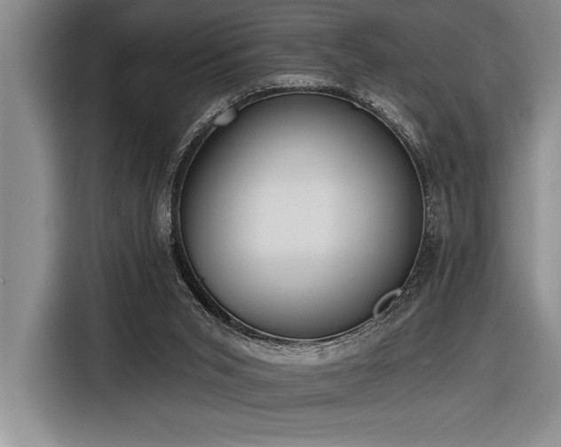 X0000116850015200912221128