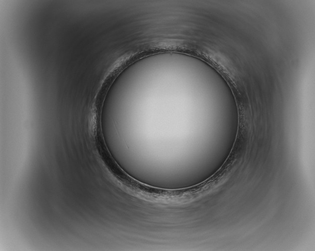 X0000116850016200912221128