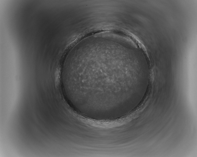 X0000116850018200912221128