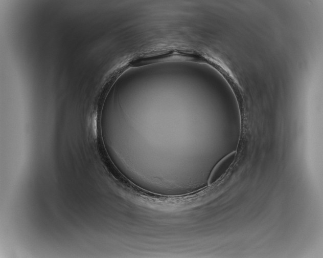 X0000116850019200912221128
