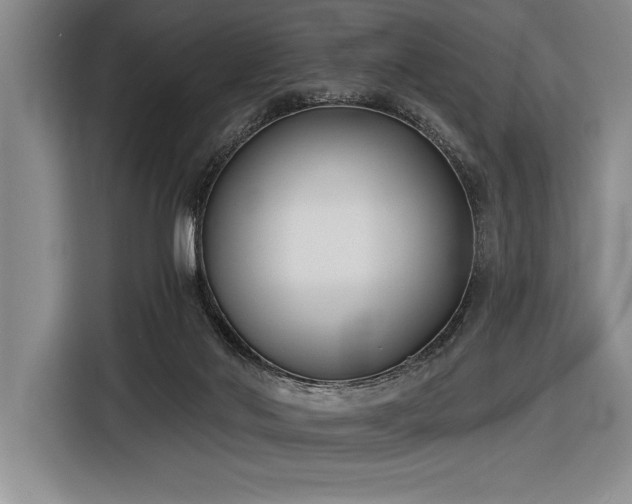 X0000116850022200912221128