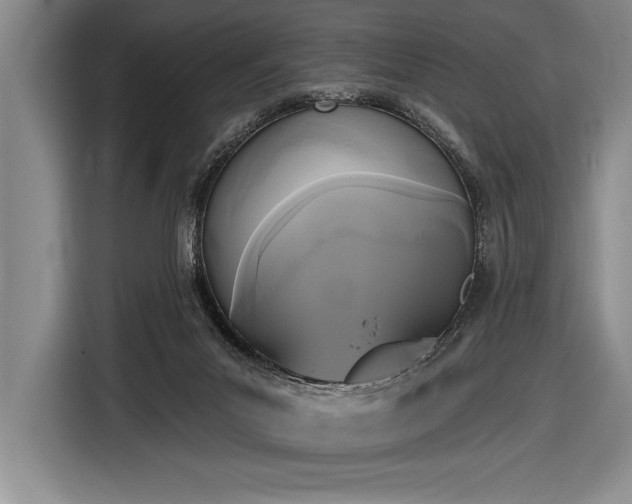 X0000116850023200912221128