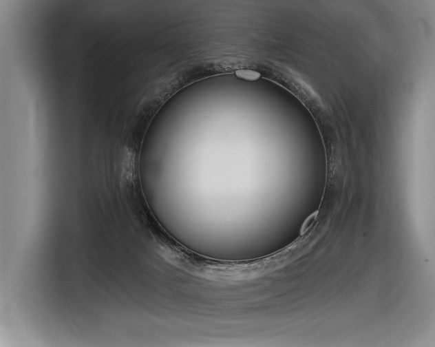 X0000116850025200912221128