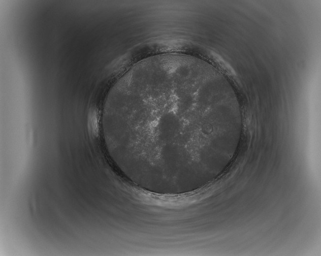 X0000116850026200912221128