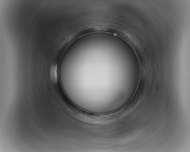 X0000116850028200912221127