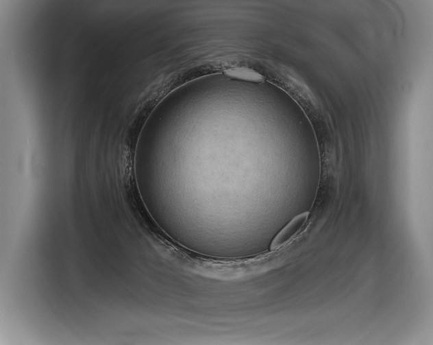 X0000116850029200912221127