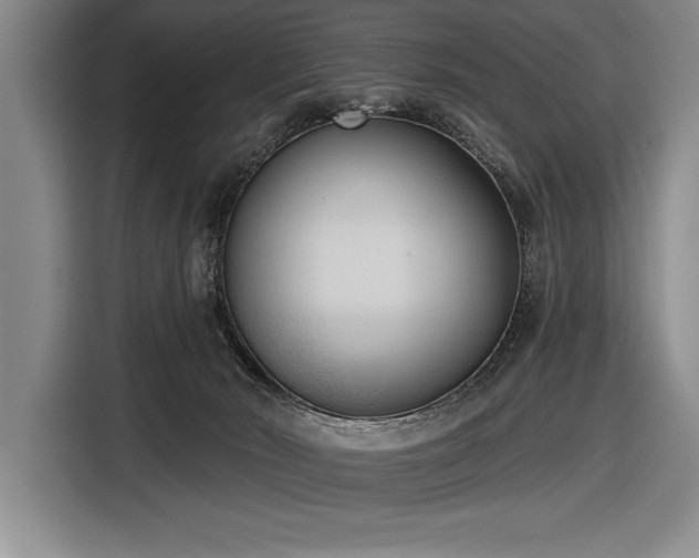 X0000116850030200912221127