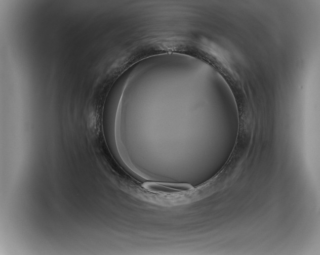 X0000116850031200912221127