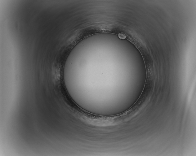X0000116850032200912221127