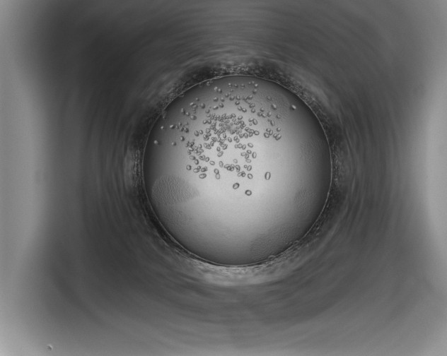 X0000116850034200912221127