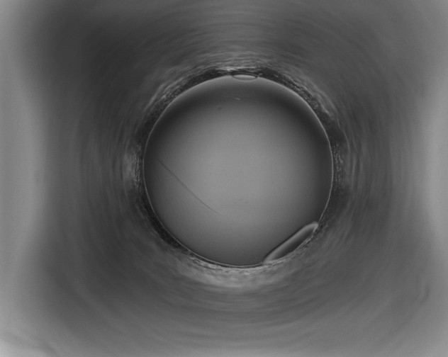 X0000116850035200912221127