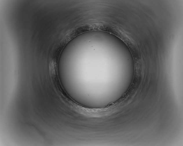 X0000116850038200912221127