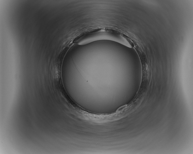 X0000116850039200912221127