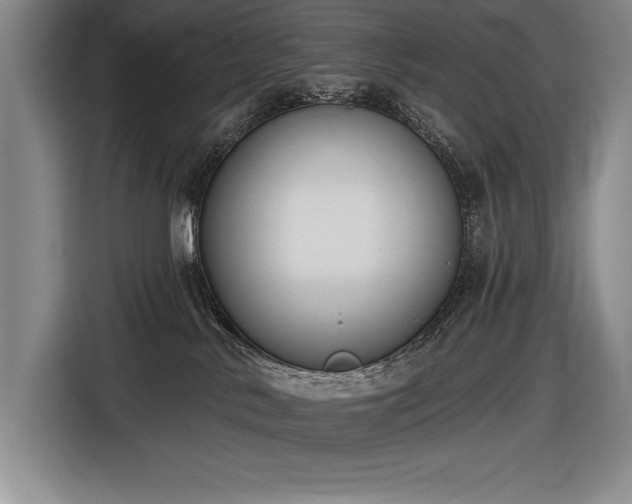 X0000116850042200912221127