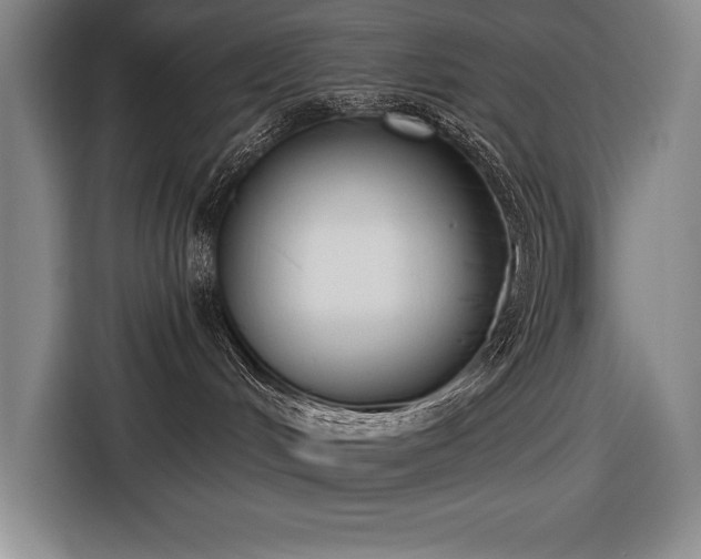 X0000116850048200912221127