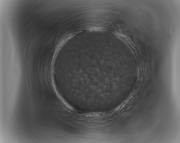 X0000116850049200912221127