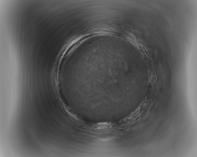 X0000116850050200912221127