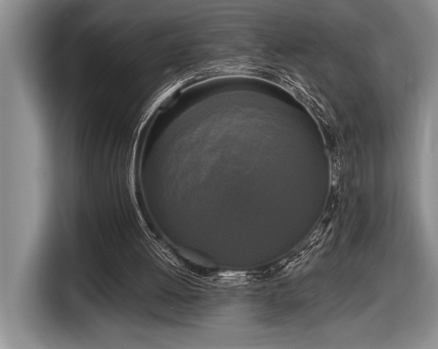 X0000116850052200912221127