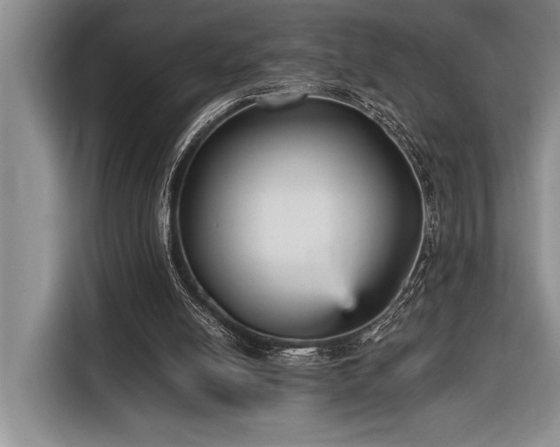 X0000116850054200912221127