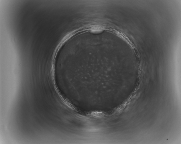 X0000116850055200912221127