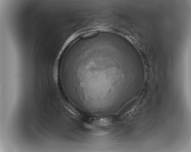 X0000116850056200912221127