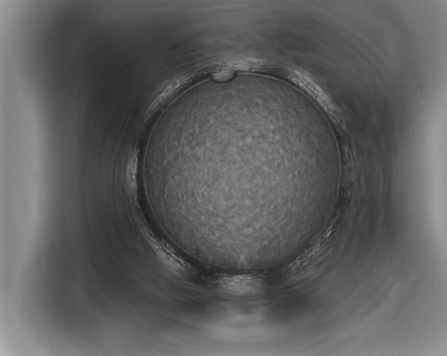 X0000116850058200912221127