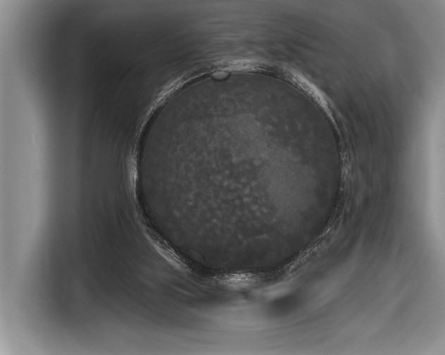 X0000116850059200912221127