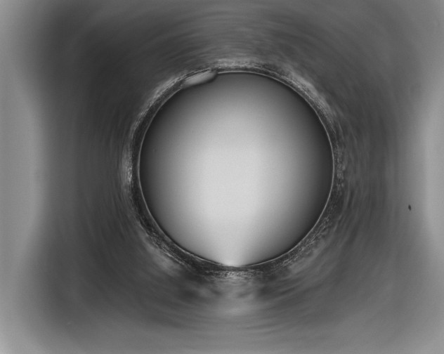 X0000116850060200912221127