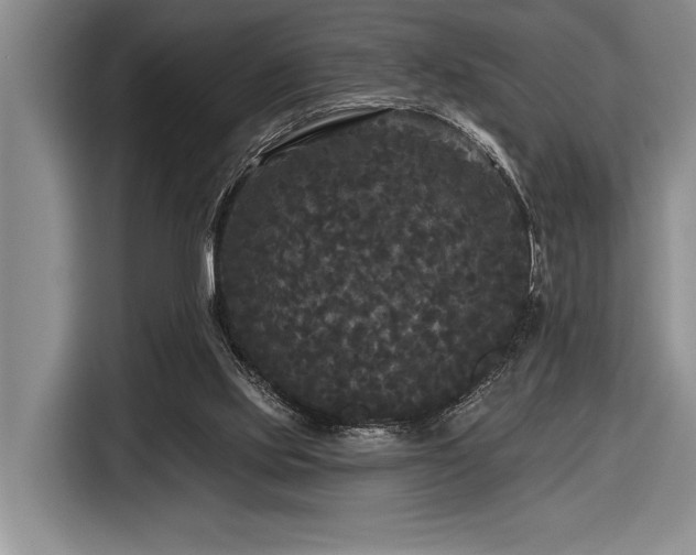 X0000116850061200912221127