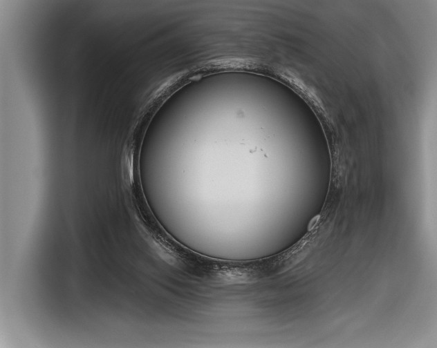 X0000116850062200912221127