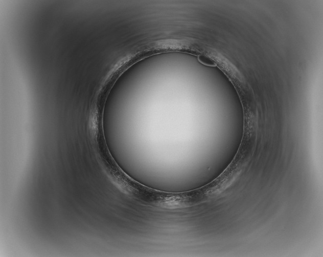 X0000116850064200912221127