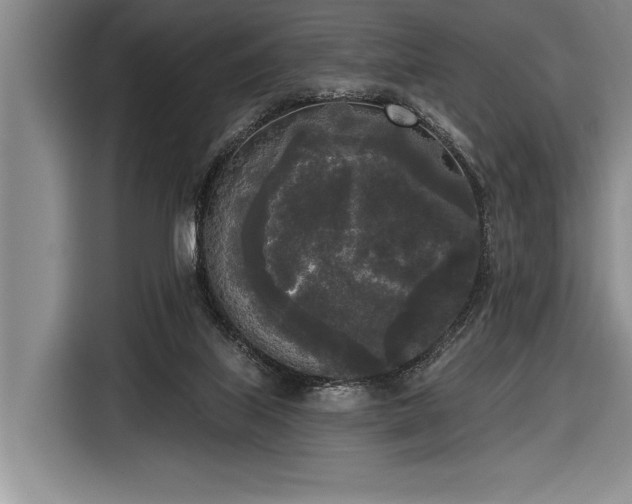 X0000116850067200912221127