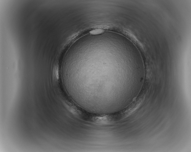 X0000116850068200912221127