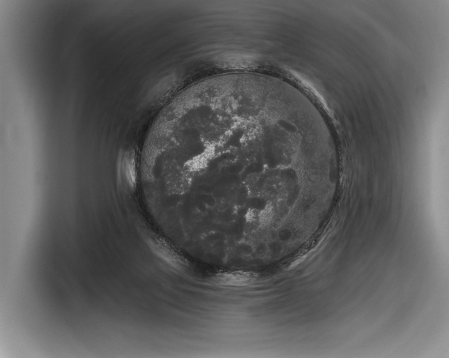 X0000116850069200912221127