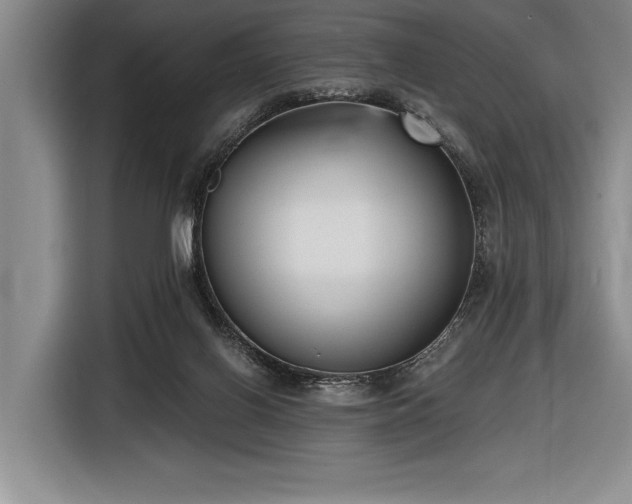 X0000116850070200912221127