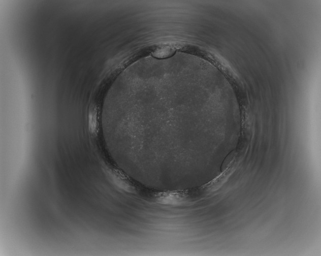 X0000116850074200912221127
