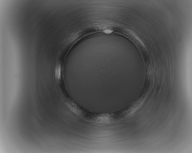 X0000116850076200912221127