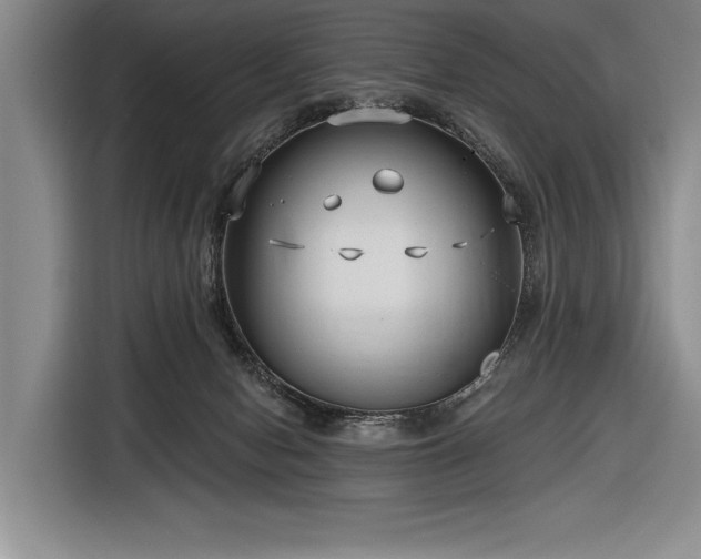 X0000116850078200912221127