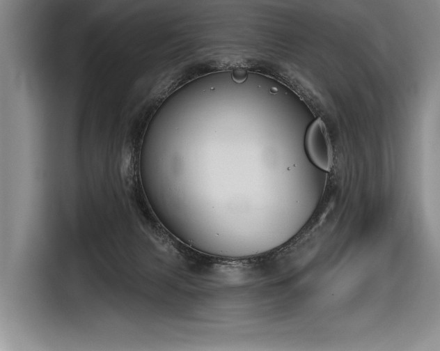 X0000116850079200912221127
