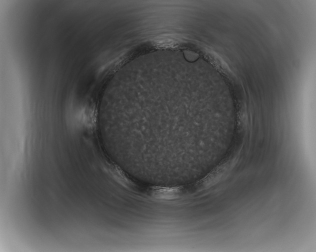 X0000116850081200912221127