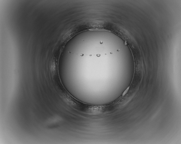 X0000116850084200912221127