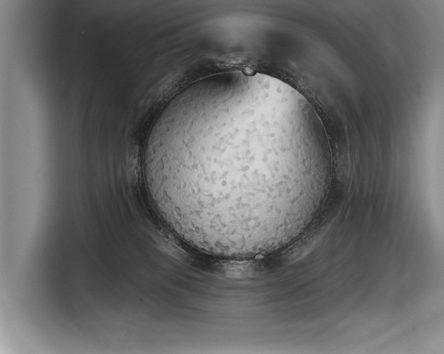 X0000116850085200912221127