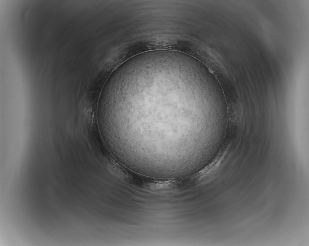 X0000116850086200912221127