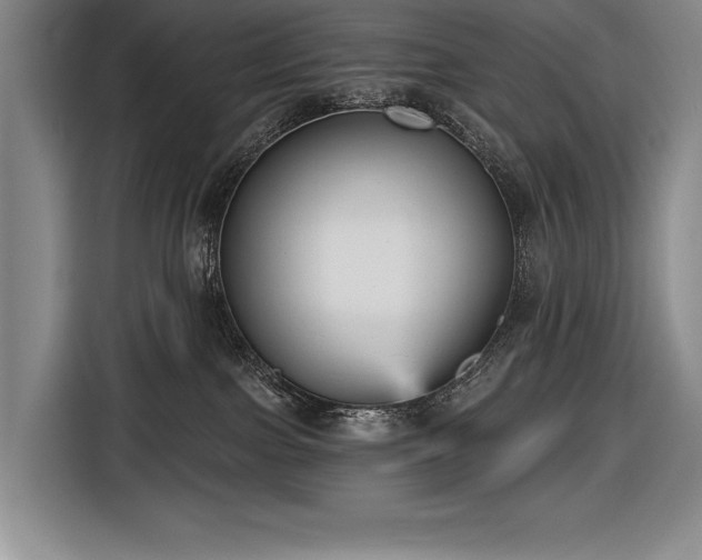 X0000116850091200912221127