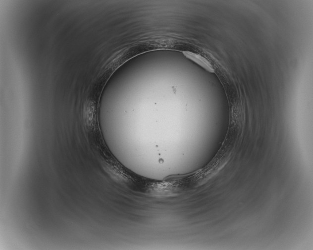 X0000116850092200912221127